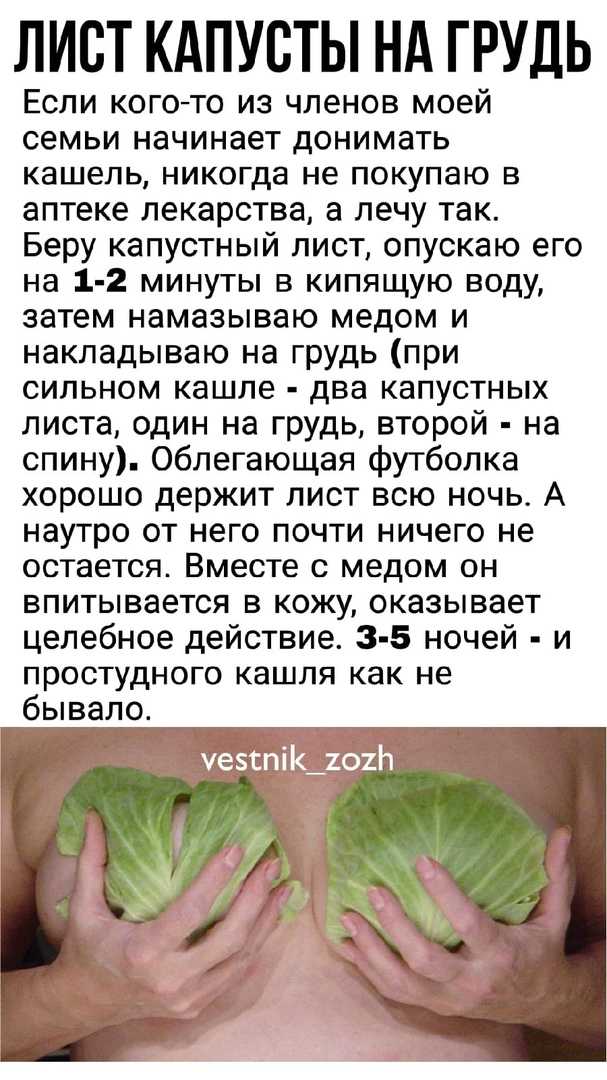 Капуста с медом: как применять, делать компресс и лечить кашель, храп, вывихи, переломы, мастопатию, артрит и геморрой | народная медицина | dlja-pohudenija.ru