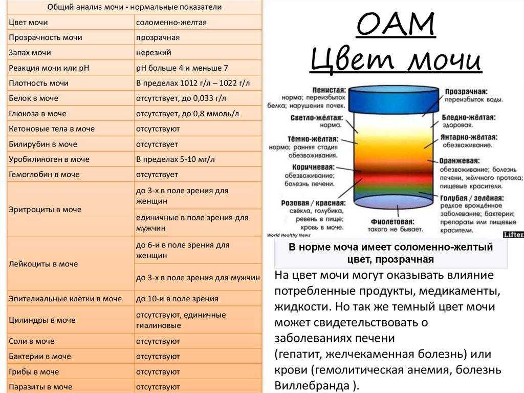 Цвет мочи при беременности: поводы для опасений