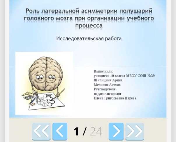 Факты и мифы о человеческом мозге