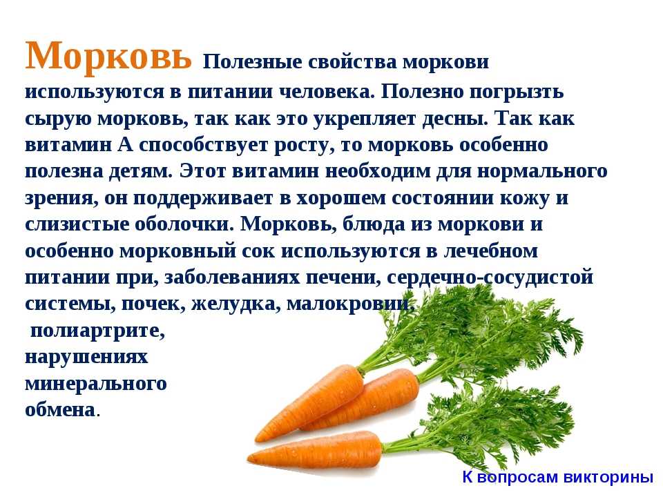 Тыква польза и вред для организма: свойства, суточная норма