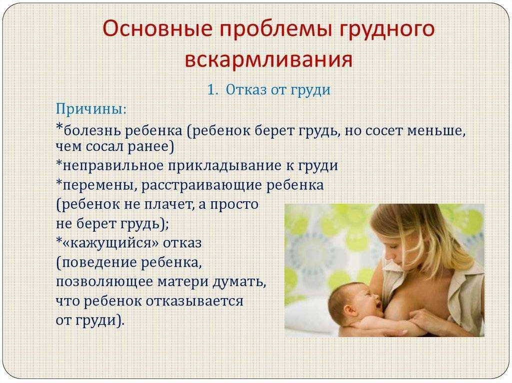 Способы завершения грудного вскармливания - agulife.ru