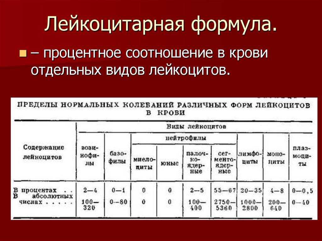 Лейкоцитоз: что это такое