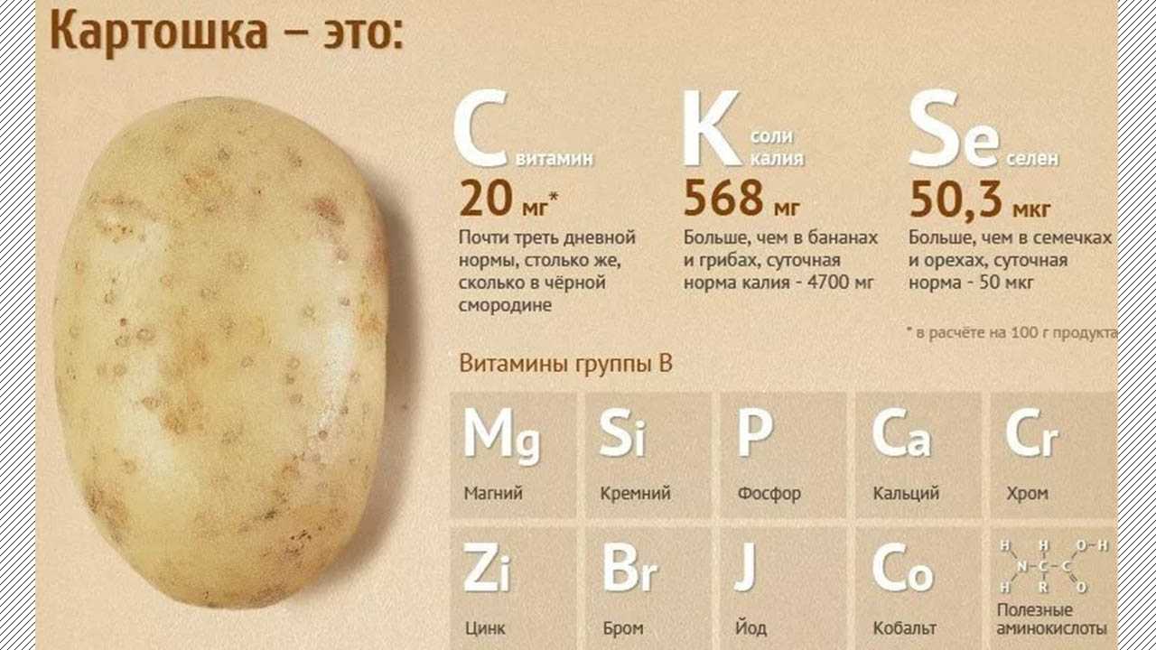 Сколько калорий в картошке вареной на воде с солью: можно ли есть при диете