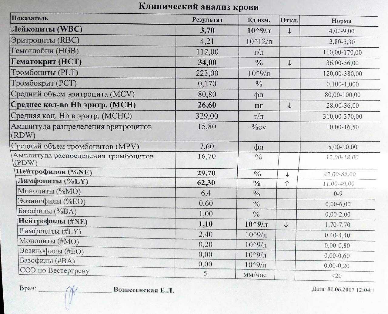 Какие показатели крови при вич? расшифровка результатов анализа
