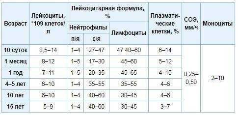 Причины повышенного и пониженного содержания базофилов в крови ребенка: чем грозит отклонение от нормы?