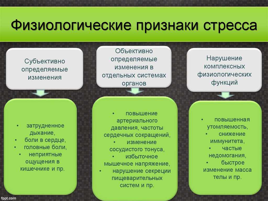 Что такое стрессоустойчивость и как её тренировать | сила лиса