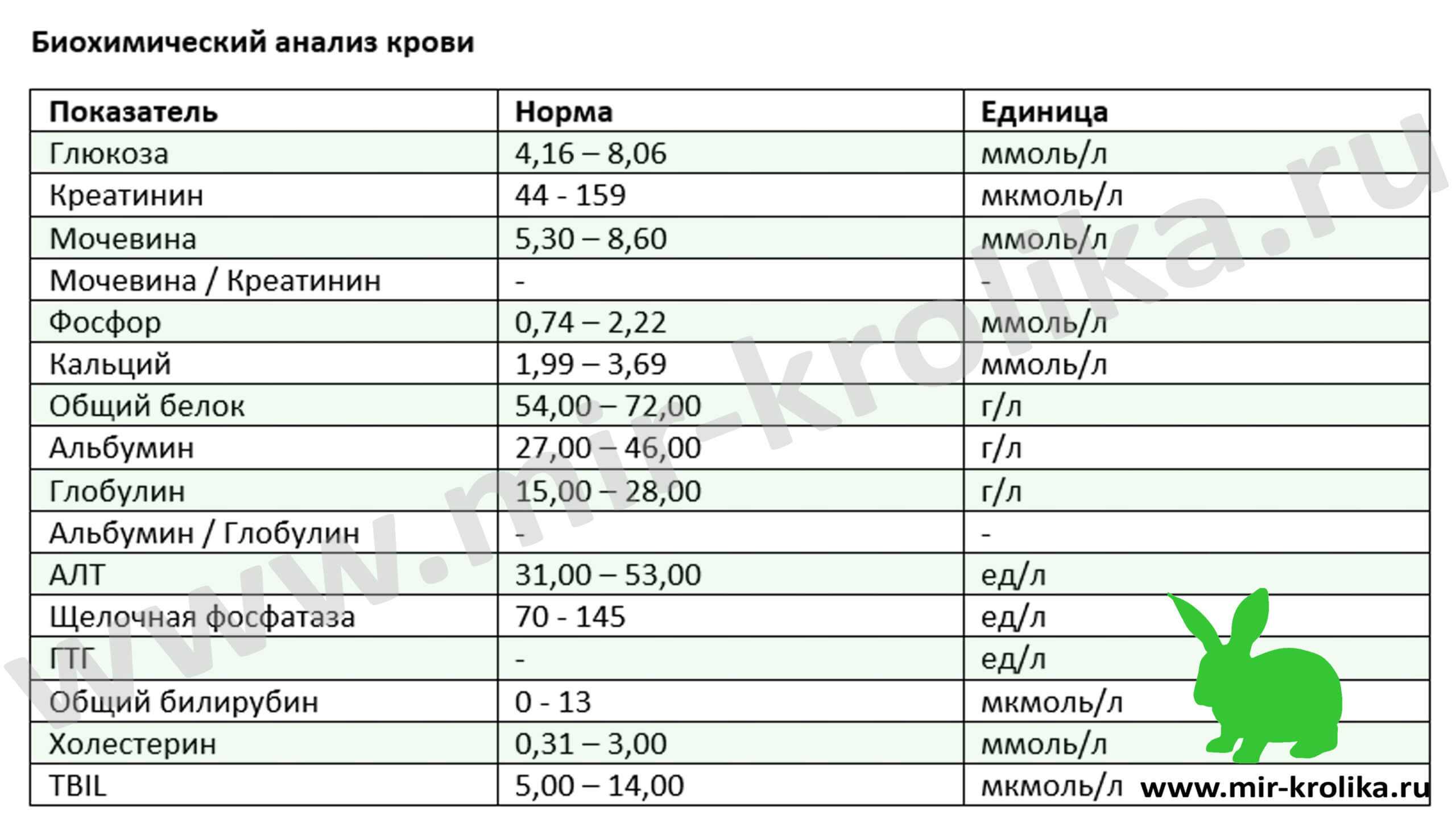 Биохимический анализ норма. Биохимический анализ крови показатели нормы. Нормы биохимии крови у кроликов. Показатели крови у кроликов в норме. Кролики нормы общего анализа крови.