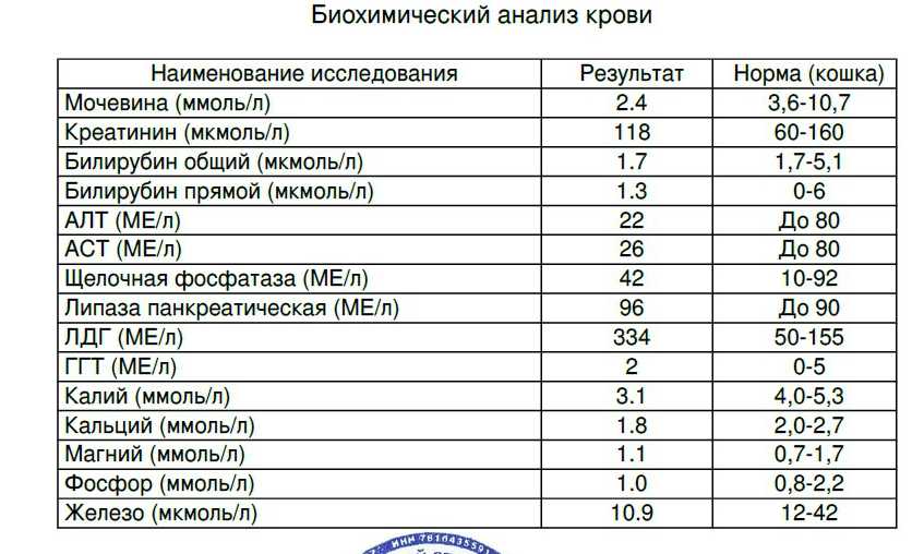 Креатинин и клиренс креатинина. анализ на креатинин и клиренс креатинина.