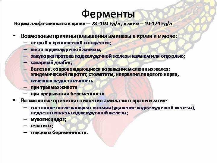 Повышена амилаза в крови: причины, диагностика и лечение