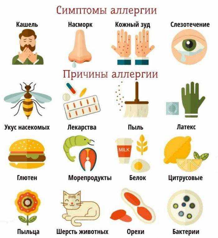 Пищевая аллергия ребенка - симптомы болезни, профилактика и лечение пищевой аллергии ребенка, причины заболевания и его диагностика на eurolab