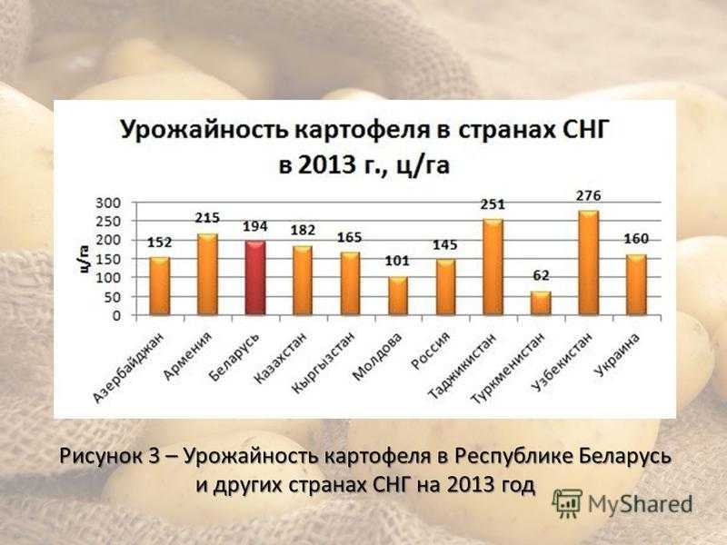 Таблица урожайности картофеля. Урожайность картошки с 1 гектара. Урожайность картофеля с 1 га в Сибири. Урожайность картофеля в странах СНГ. Урожайность картофеля с гектара.