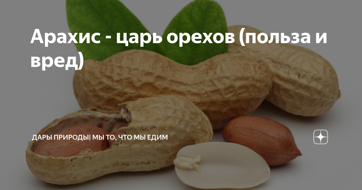 Орехи кешью – польза и вред для организма, полезный свойства и противопоказания