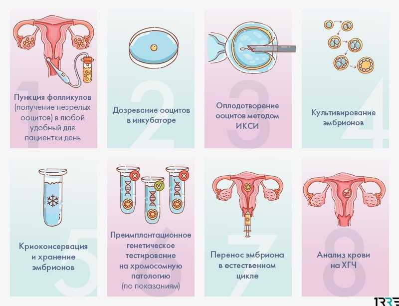 Процедура эко