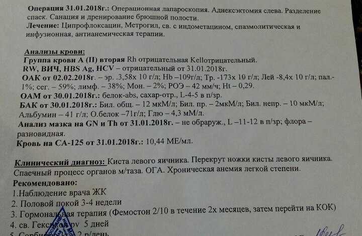 Овариальный резерв яичников