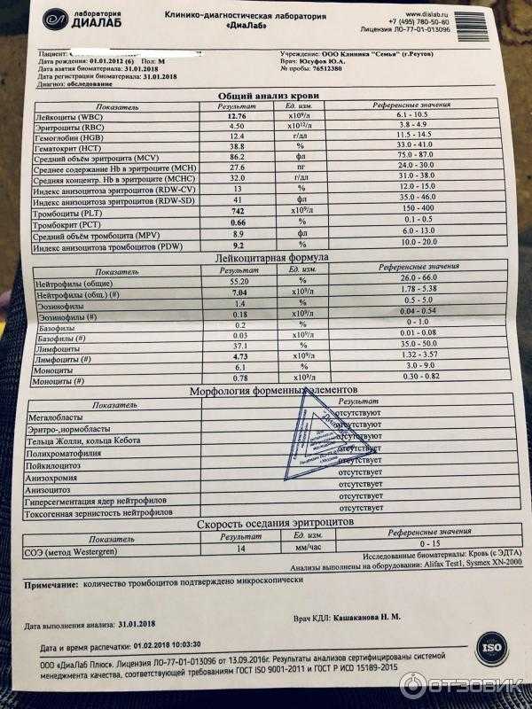 Лептин и его роль в организме
