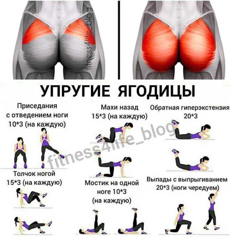 Практические советы и анализ по звездным ягодицам: как накачать попу без приседаний и веса