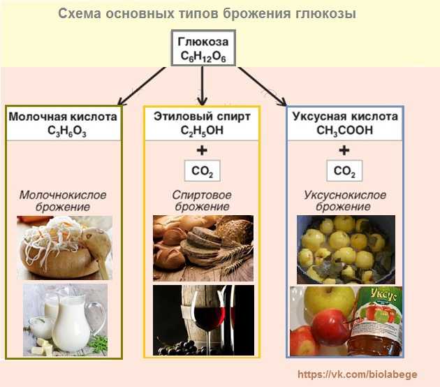Почему возникает изжога и как с ней бороться - рассказывает врач - фарммедпром