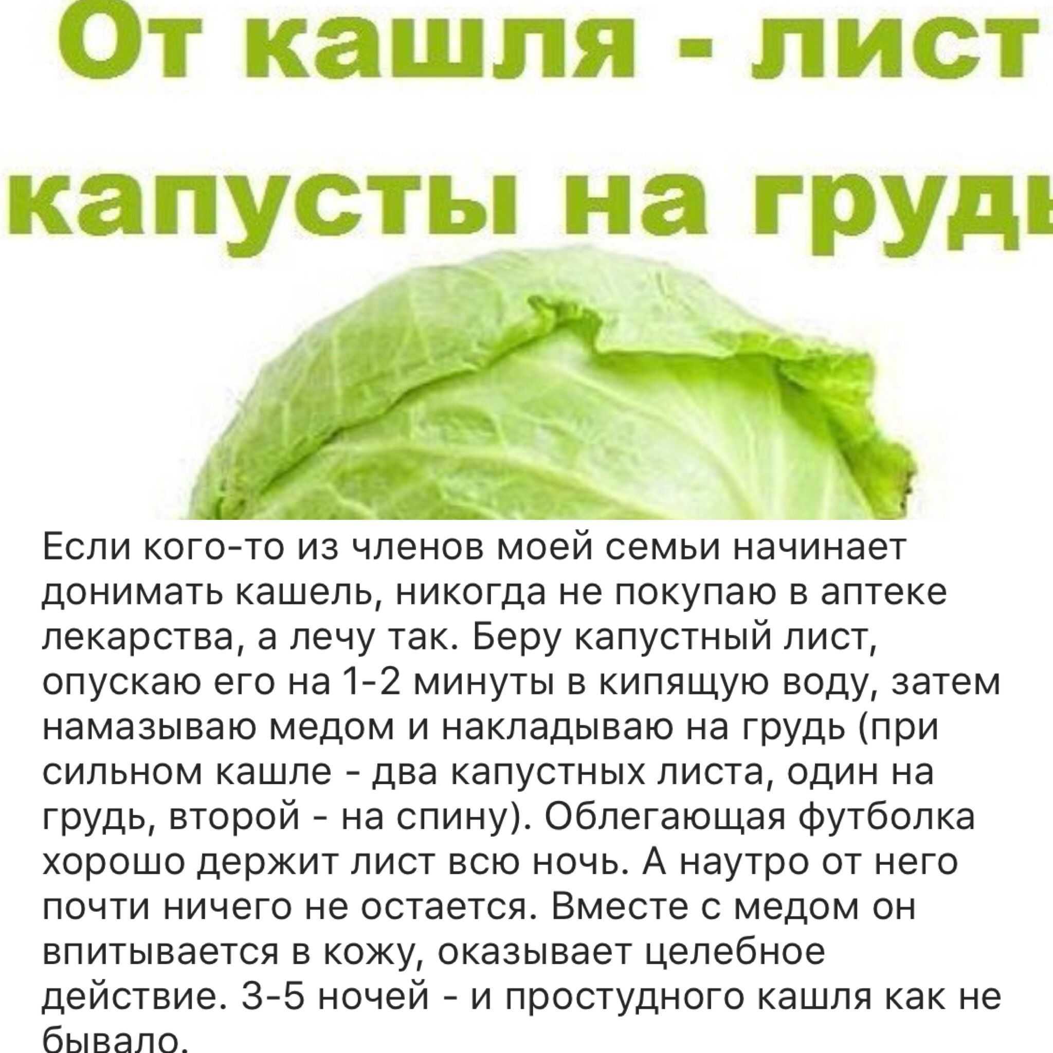 Капустный лист с медом от кашля ребенку или взрослому: как сделать компресс, сок, отвар