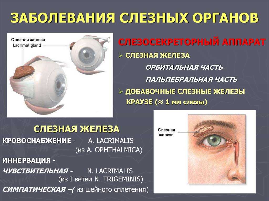 Заболевание аппарата. Заболевания слезных органов. Болезни века и слезного аппарата. Заболевания слезной железы. Заболевания слезопродуцирующих органов.