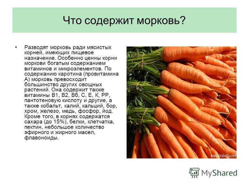 Морковь по корейски — полезные свойства и вред