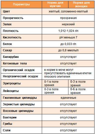 Уробилиноген в моче повышен: что это значит, какая должна быть норма у взрослых и детей
