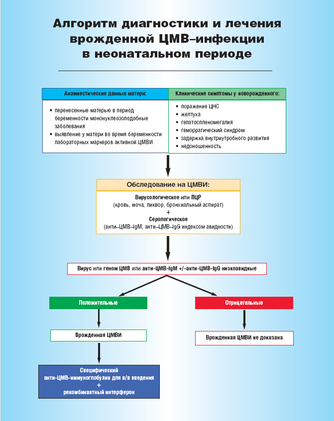 Симптомы цитомегаловируса у женщин. чем он опасен и как лечиться