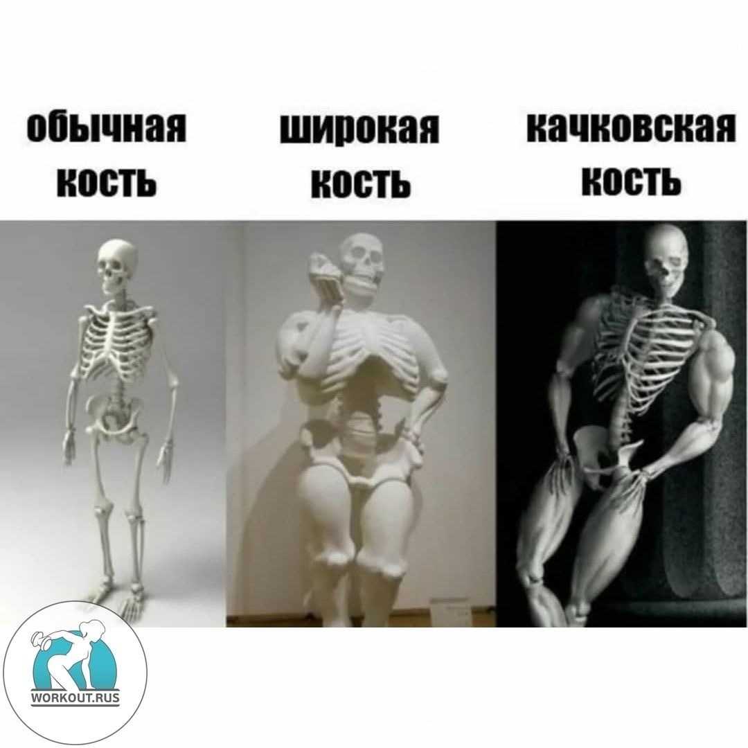 Переломы костей: общие сведения | eurolab | травматология