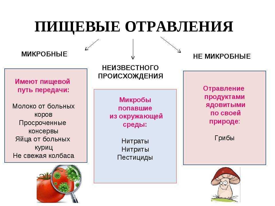 10 признаков и симптомов пищевого отравления | питание и наука