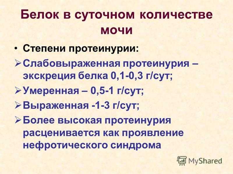 Белок в моче