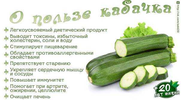 Калорийность кабачка и его состав