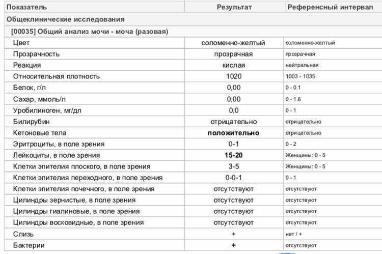 Белок в моче при беременности: норма и отклонения