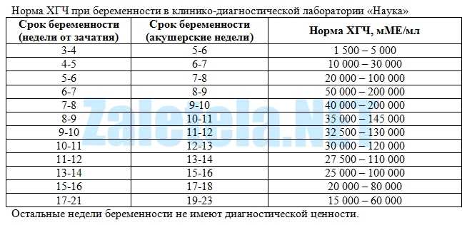 Расшифровка анализа на хгч при беременности: норма, значимость