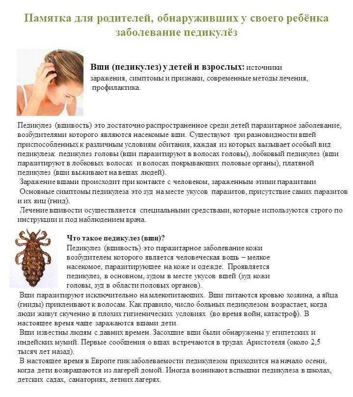 Педикулез у детей: какие средства самые эффективные для лечения