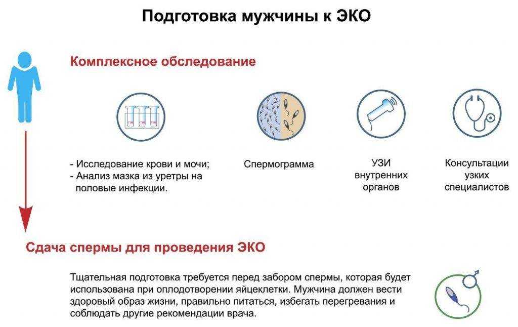 Как правильно сдавать спермограмму