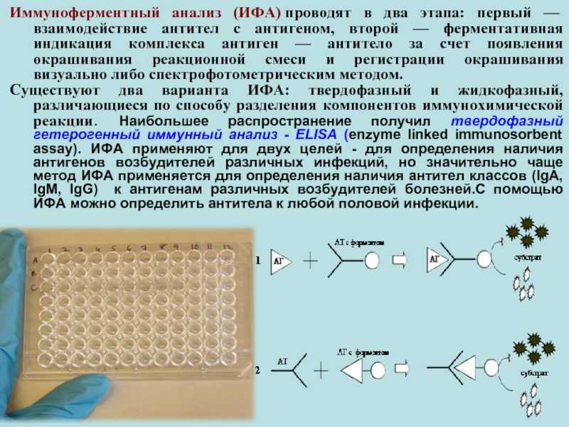 Иммуноферментный анализ - ифа