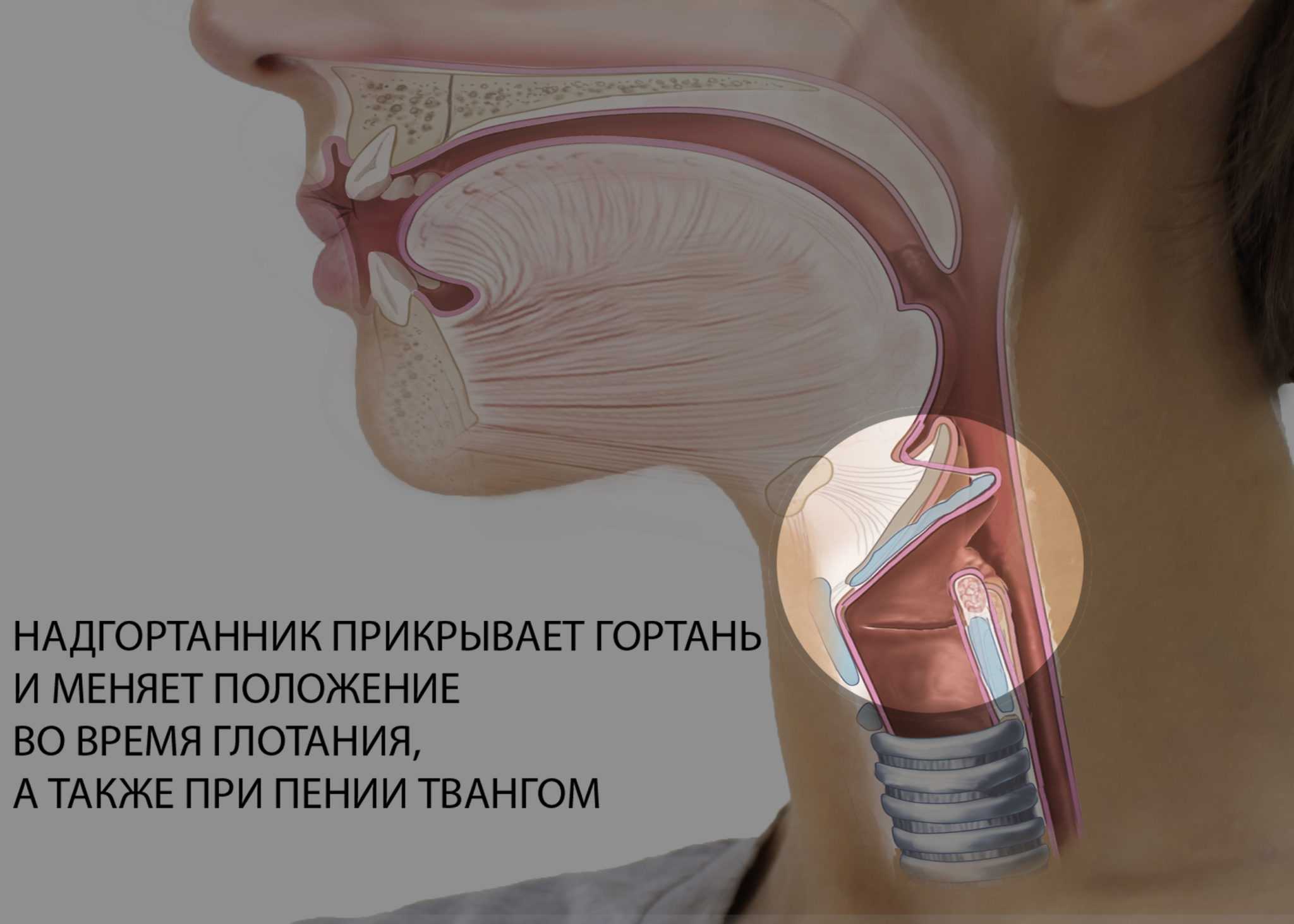 Ком в горле