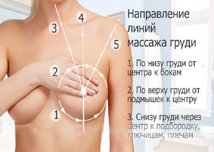 Массаж груди - методики для увеличения: как правильно делать, чтобы увеличить бюст