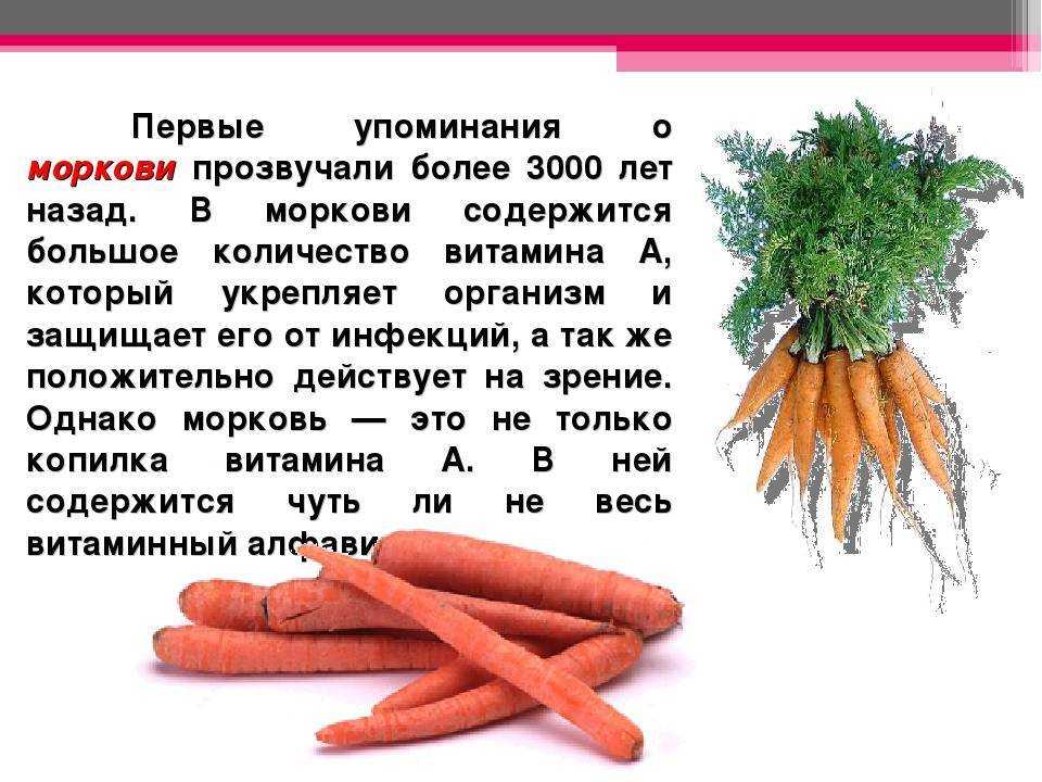 Любит ли морковь. Полезные вещества в моркови. Чем полезна морковь для организма. Полезность моркови. Для чего полезна морковь.