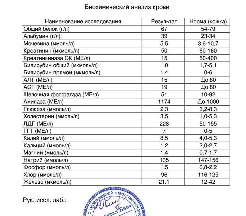 Ли биохимический анализ