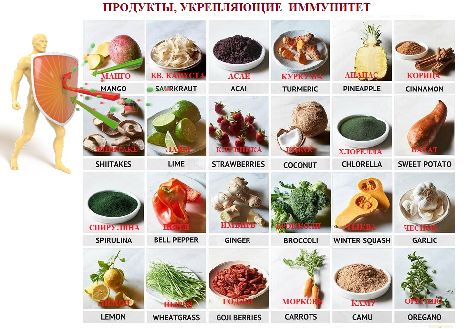 Пять способов повысить иммунитет – спбгбуз гп №39