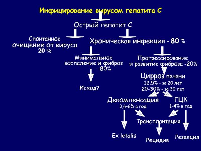 Момент заражения. Острый вирусный гепатит печень. Механизмы хронизации вирусного гепатита в. Острые и хронические вирусные гепатиты. Этиология острого вирусного гепатита.