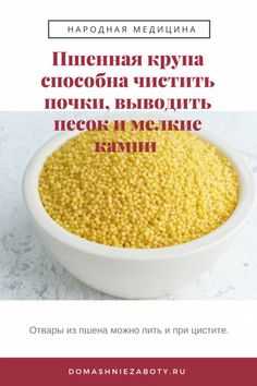 Как очистить почки от токсинов: 11 лучших трав