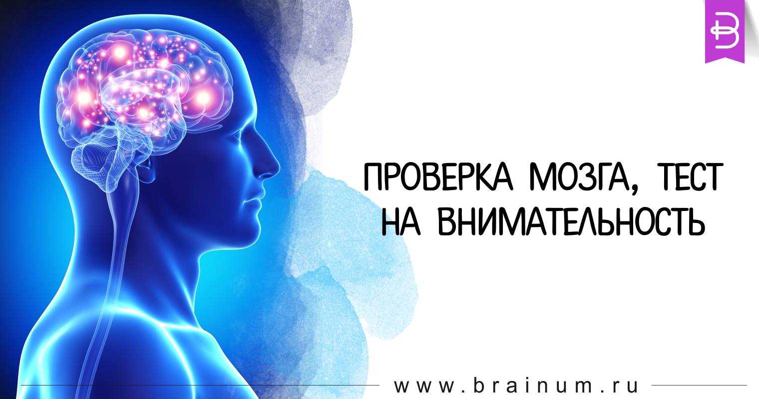 Тест для мозга и памяти