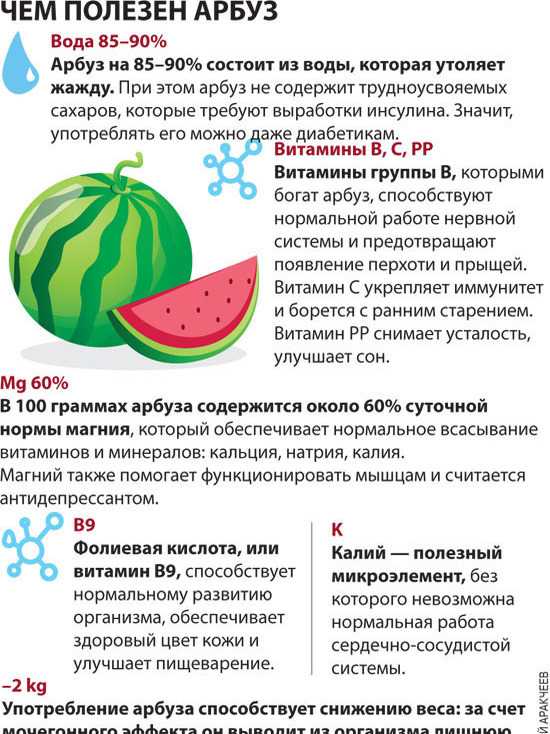 Дыня: виды и польза | food and health