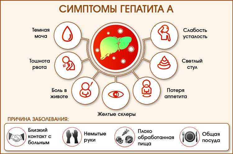 Гепатит c: лечение, как передается, первые симптомы и признаки у мужчин и женщин.(статья вялова с. с.) | все о печени.ру