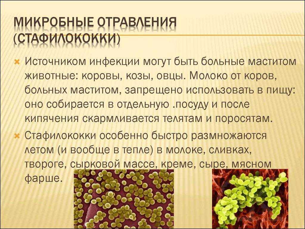 Стафилококк в носу