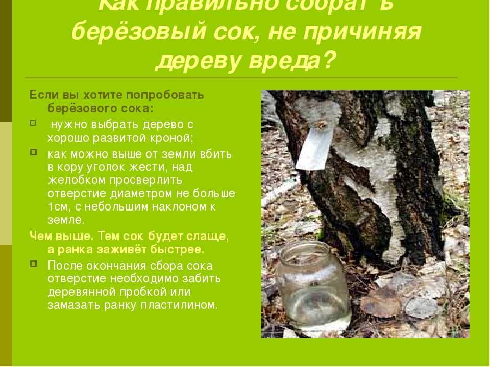 Питьевая щелочная вода — насколько благотворно ее влияние на организм? обзор литературы | #06/19 | «лечащий врач» – профессиональное медицинское издание для врачей. научные статьи.