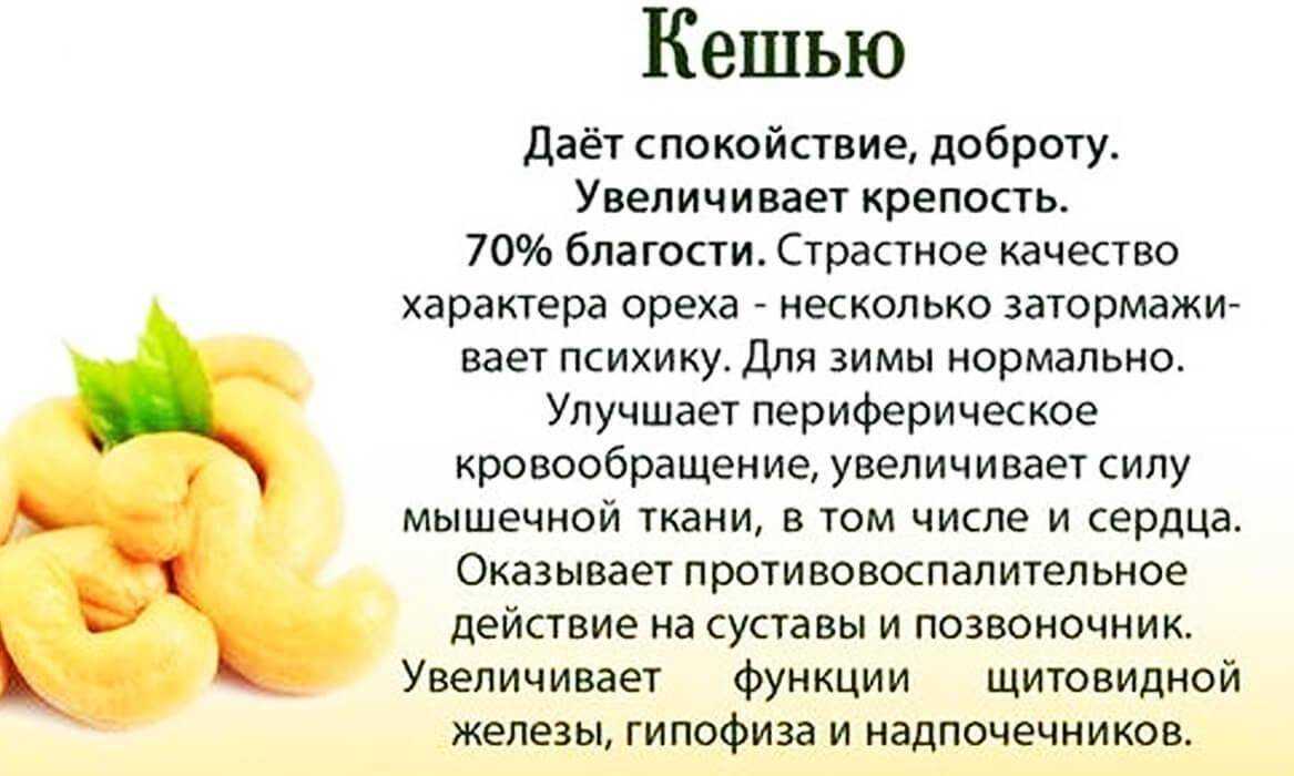 Кешью: польза и вред, калорийность, как растет, как приготовить