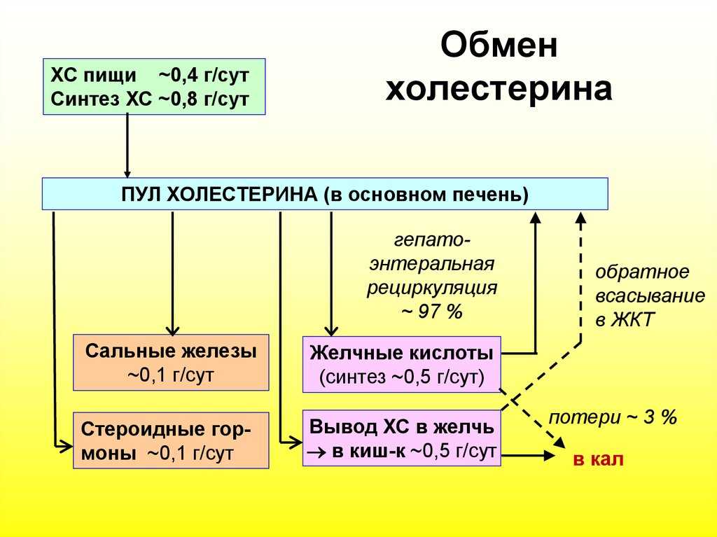 Вредно ли сливочное масло, и стоит ли от него отказаться?