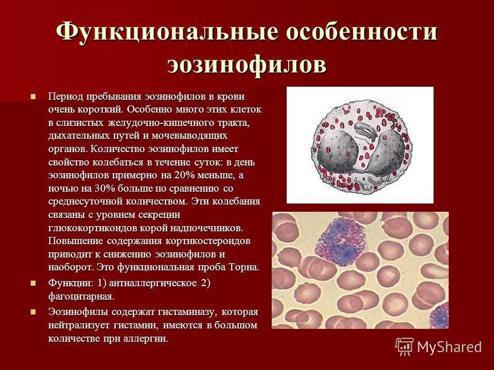 Анализ на эозинофилы (эозиноциты) – нормы эос, причины отклонений | университетская клиника